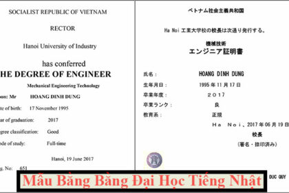 dịch thuật bằng đại học