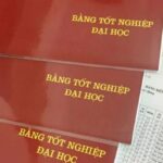 đính chính bằng đại học như thế nào