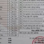 doanh nghiệp đánh giá bằng đại học thế nào