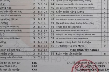 doanh nghiệp đánh giá bằng đại học thế nào