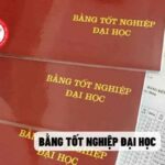giá trị bản sao bằng đại học
