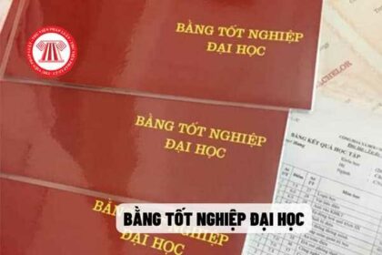 giá trị bản sao bằng đại học