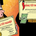 hậu quả sử dụng bằng đại học giả