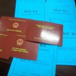 hồ sơ xin việc có cần bằng đại học không