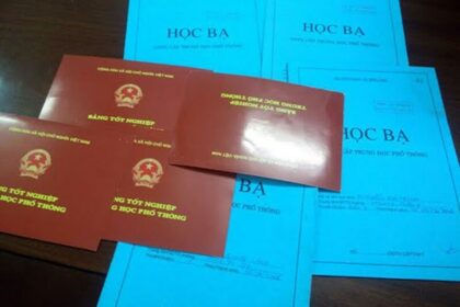 hồ sơ xin việc có cần bằng đại học không