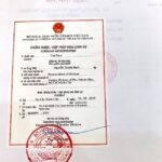hợp pháp hóa bằng đại học