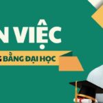 không có bằng đại học có xin việc được không