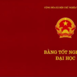 luật giáo dục đại học quy định về bằng cấp
