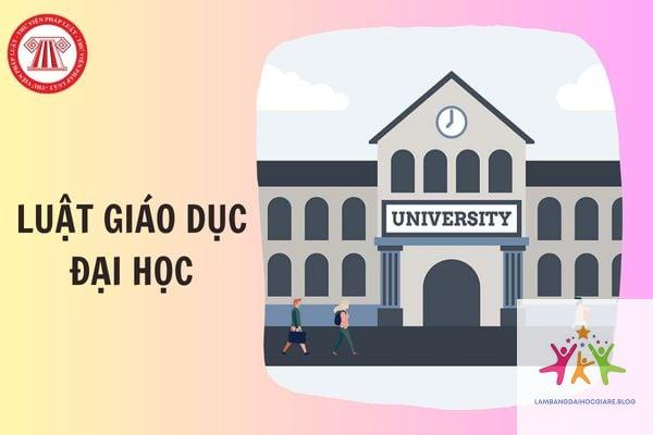 luật giáo dục đại học quy định về bằng cấp - Hình 5