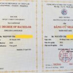 mã số bằng đại học là gì
