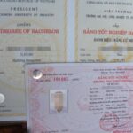 mã số bằng đại học là gì