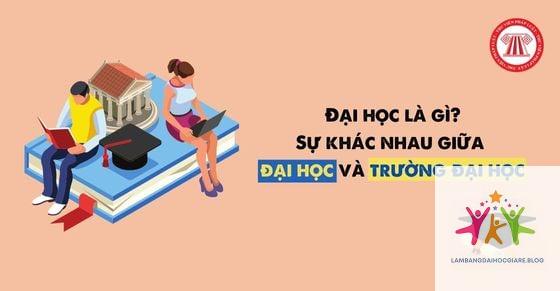 mối liên hệ giữa đại học và sau đại học - Hình 3