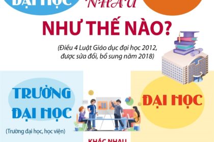 mối liên hệ giữa đại học và sau đại học