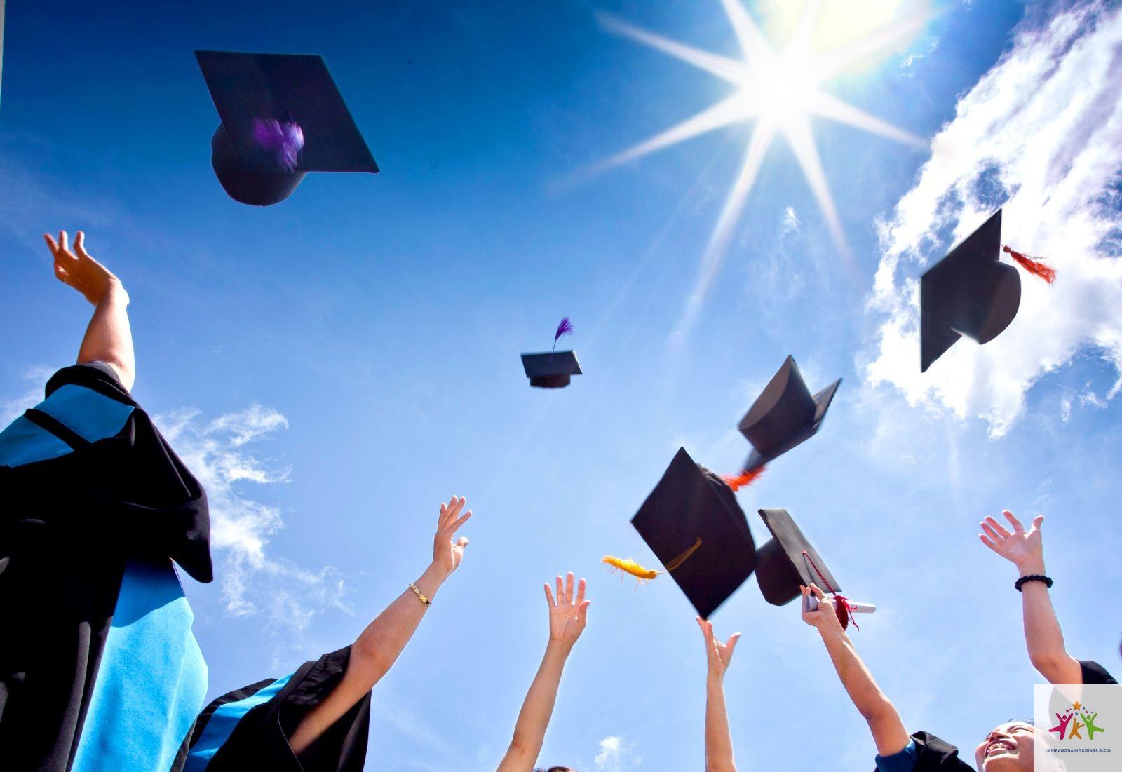 nhận bằng đại học cần gì - Hình 2