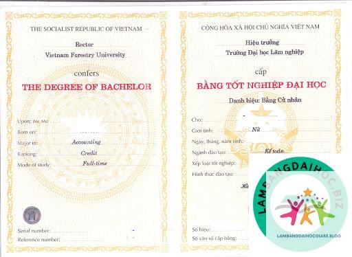 phôi bằng đại học là gì - Hình 2