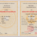 số hiệu bằng đại học là gì