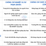 so sánh đại học và chứng chỉ nghề