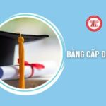 tại sao doanh nghiệp yêu cầu bằng đại học