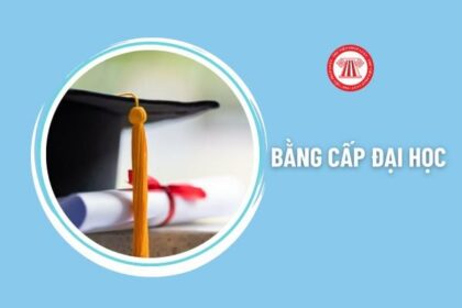 tại sao doanh nghiệp yêu cầu bằng đại học
