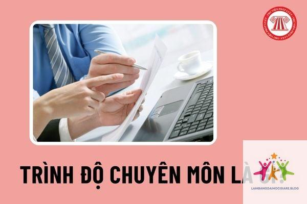 trình độ chuyên môn đại học là gì - Hình 2