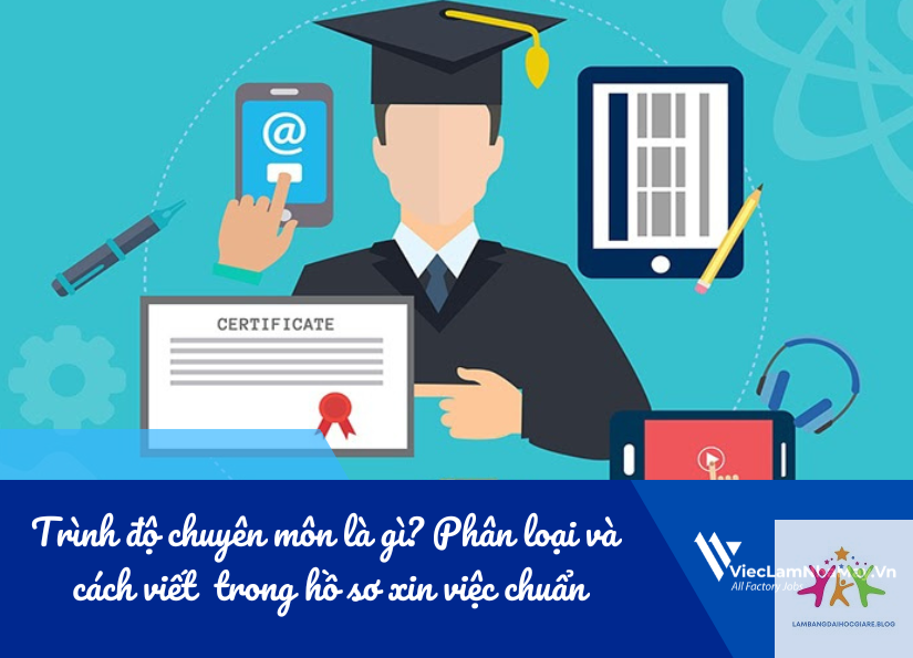 trình độ chuyên môn đại học là gì - Hình 3
