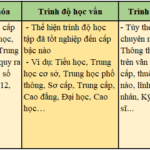 trình độ học vấn đại học là gì