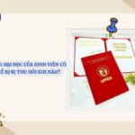 trường hợp bị thu hồi bằng đại học