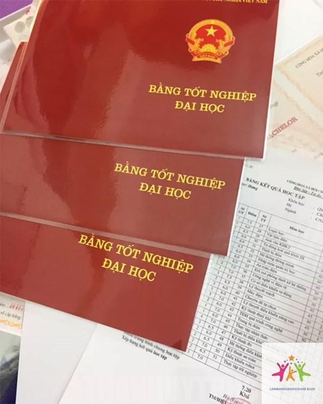văn bằng đại học là gì - Hình 3