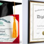 văn bằng đại học và bằng nghề khác nhau gì