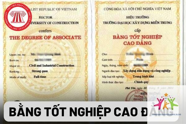văn bằng đại học và cao đẳng khác nhau gì - Hình 4