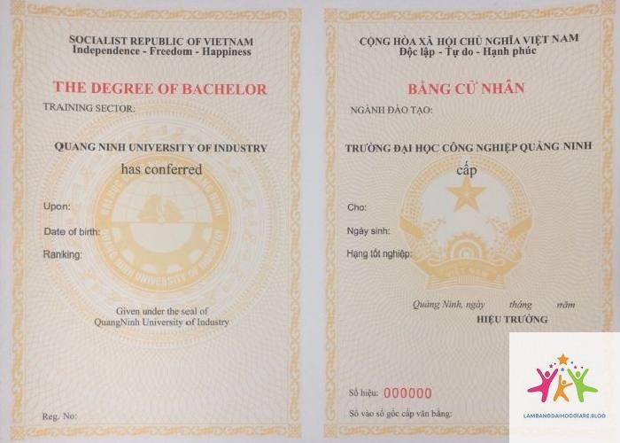 văn bằng đại học và cao đẳng khác nhau gì - Hình 5