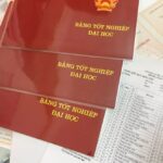 văn bằng đại học và thạc sĩ khác nhau gì