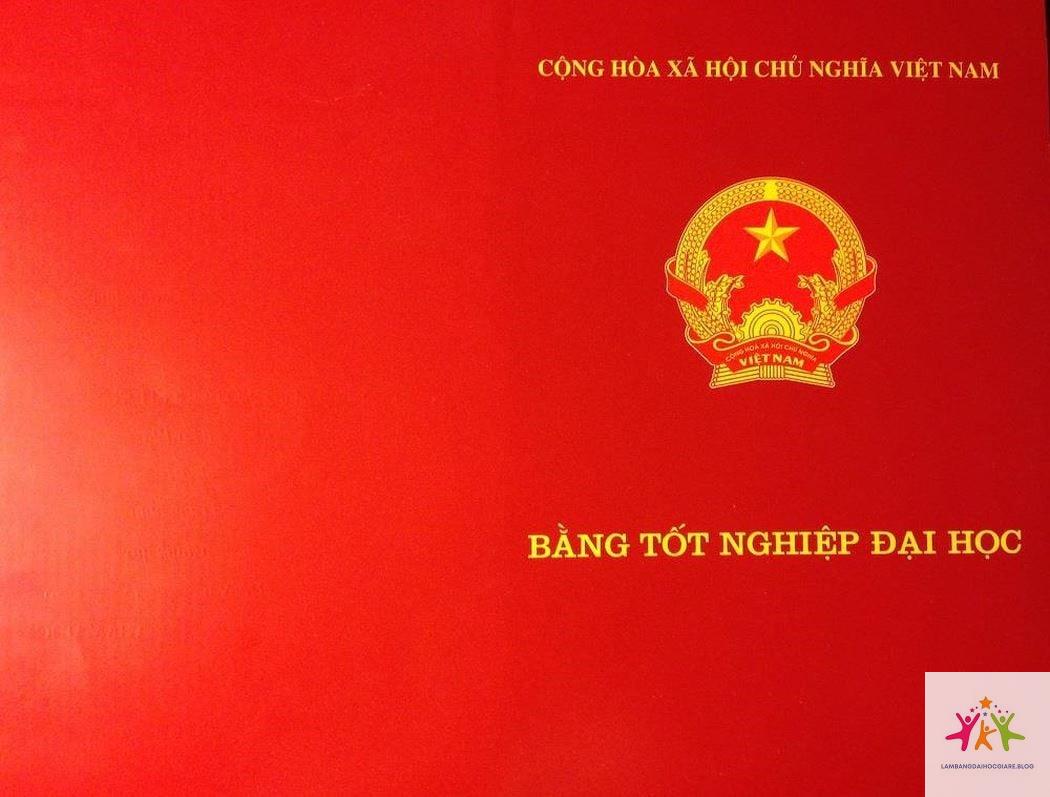 văn bằng đại học và tiến sĩ khác nhau gì - Hình 2