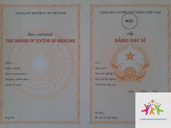 văn bằng đại học và tiến sĩ khác nhau gì - Hình 4