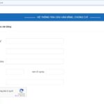 xác minh bằng đại học online