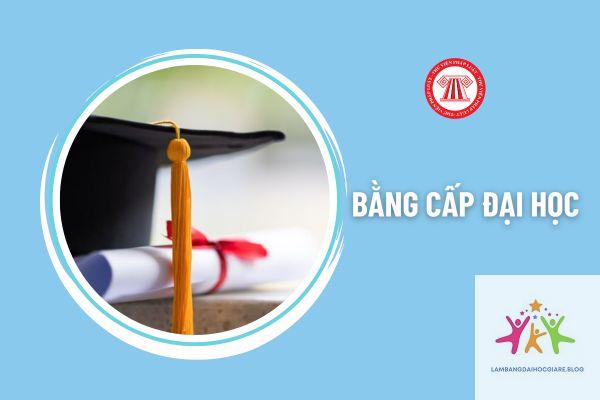 xu hướng tuyển dụng có cần bằng đại học không - Hình 4