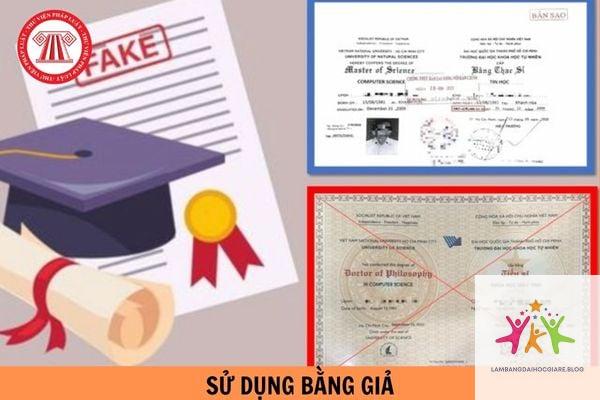 xử phạt sử dụng bằng đại học giả - Hình 3