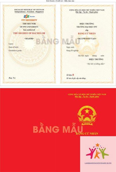 ý nghĩa của bằng đại học - Hình 4